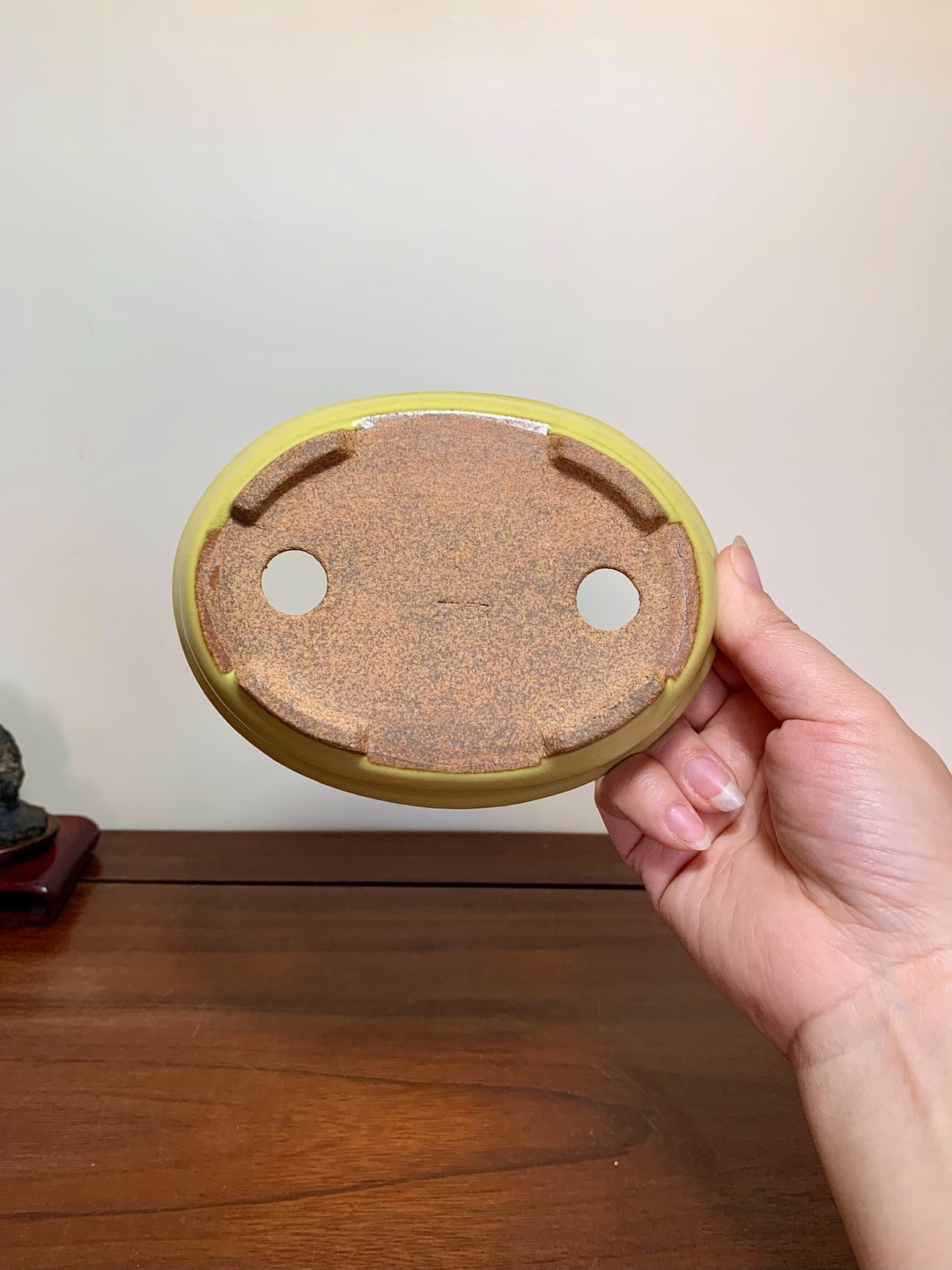 Yellow Glaze Outer Rim Oval Maple Tree Pot by Hattori