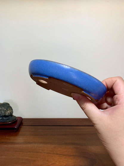 Blue Glaze Oval Maple Tree Pot by Yamafusa