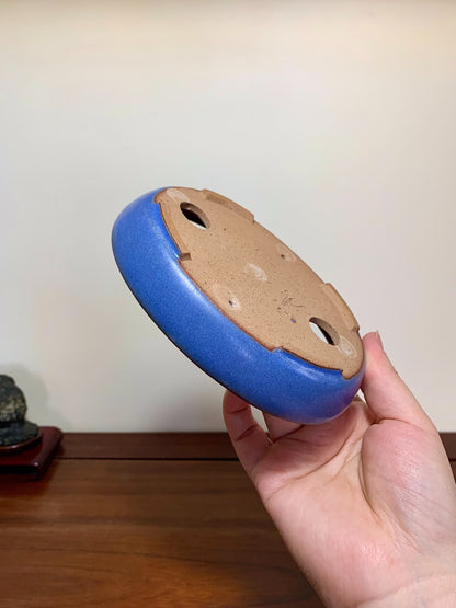 Blue Glaze Oval Maple Tree Pot by Yamafusa