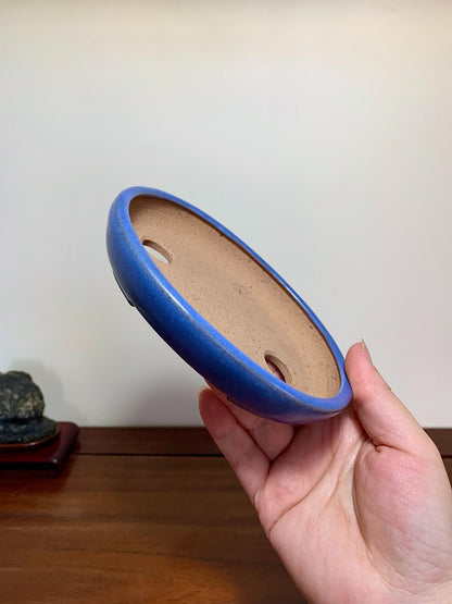 Blue Glaze Oval Maple Tree Pot by Yamafusa