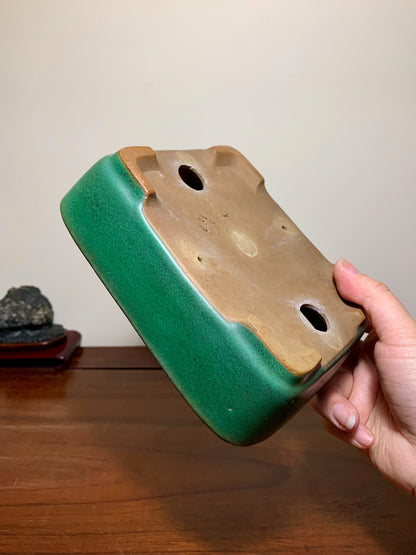 Green-Glazed Rectangular Maple Tree Pot by Yamafusa