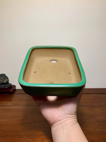 Green-Glazed Rectangular Maple Tree Pot by Yamafusa