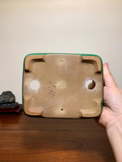 Green-Glazed Rectangular Maple Tree Pot by Yamafusa