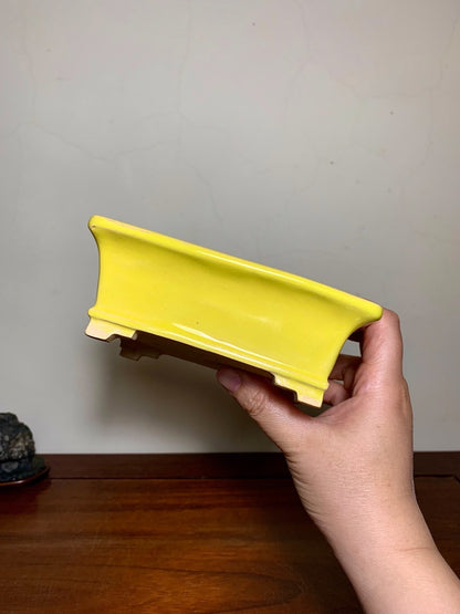 A hand holds a glossy, bright yellow rectangular ceramic pot with a curved rim and unglazed base.
