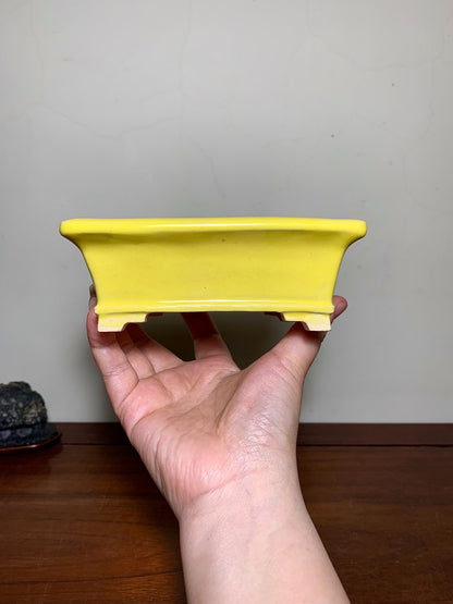 Fukuda Katsunori Yellow Glaze Outer Rim Lower Band Section-Foot Rectangular Japanese Flower Pot
