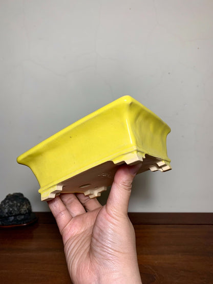 Fukuda Katsunori Yellow Glaze Outer Rim Lower Band Section-Foot Rectangular Japanese Flower Pot