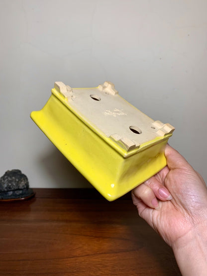 Fukuda Katsunori Yellow Glaze Outer Rim Lower Band Section-Foot Rectangular Japanese Flower Pot