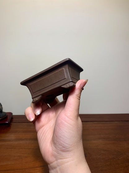 Shisan Outer Rim Protruding Kui Lower Band Cloud Feet Rectangular Japanese Flower Pot