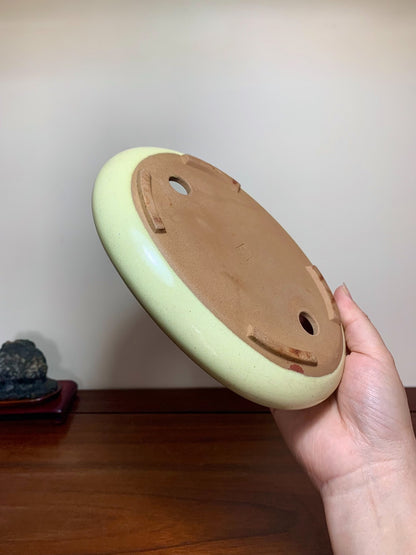 Chun Meng Cut-Foot Oval Maple Tree Pot