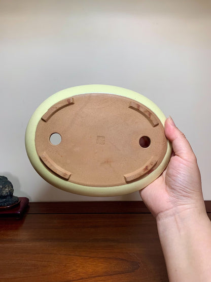 Chun Meng Cut-Foot Oval Maple Tree Pot