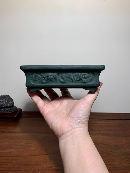 A hand holds a dark green, rectangular bonsai pot with a carved dragon design.