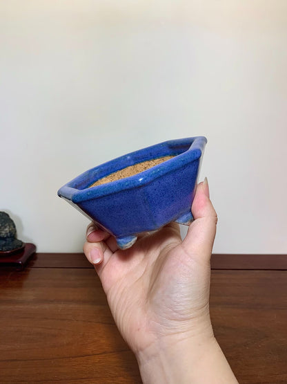 Blue Kinyo Glaze Octagonal Japanese Pot by Hattori
