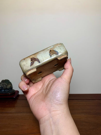 A hand holds a small, rectangular, glazed ceramic pot with brown speckles and two drainage holes.