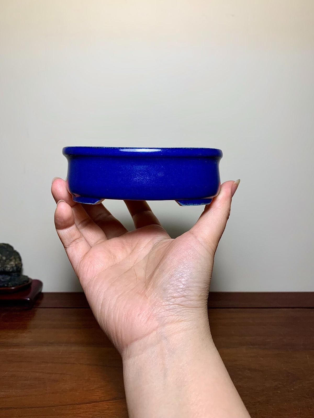A hand holds a glossy, deep blue ceramic bonsai pot with a low, oval shape and unglazed foot rim.
