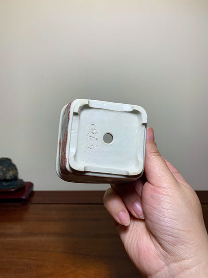 Tōshita Keishin Red-Painted Child Motif on Outer Rim, Square Japanese Bonsai Pot