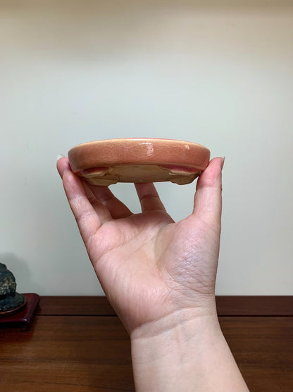 A hand holds a small, round, glossy terracotta pot with a slightly raised rim.