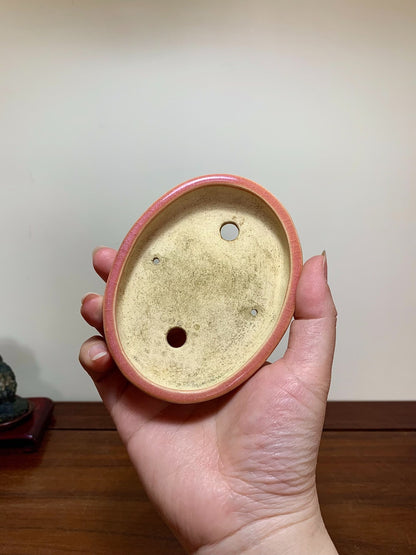 Sōzō Ikkō Peach-Blossom Glaze Oval Japanese Bonsai Pot