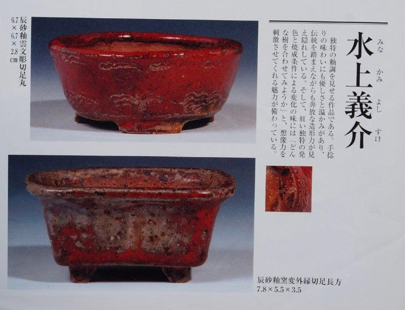 Shinsha Copper-Red Glaze Outer Rim Small Cylindrical Pot Japanese Bonsai Pot by Mizukami Yoshisada
