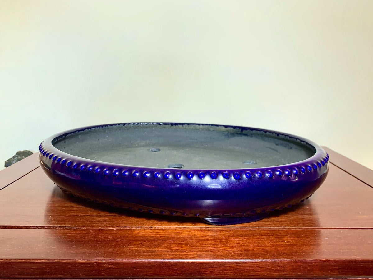 A glossy, deep blue ceramic pot with a beaded rim sits on a wooden surface.