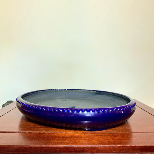 A glossy, deep blue ceramic pot with a beaded rim sits on a wooden surface.