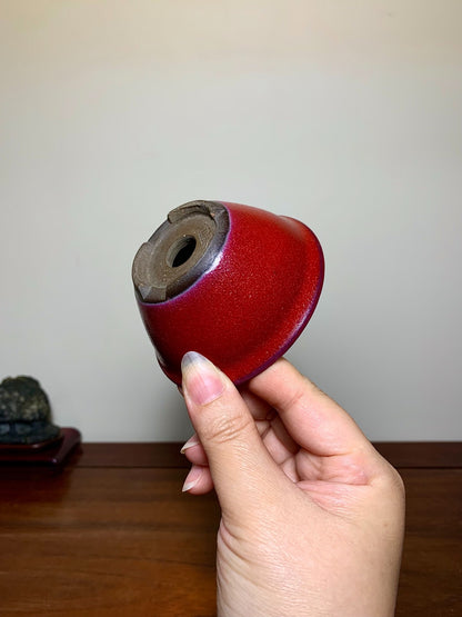 Ishizuka Ishizue Chicken-Blood Glaze Round Pot