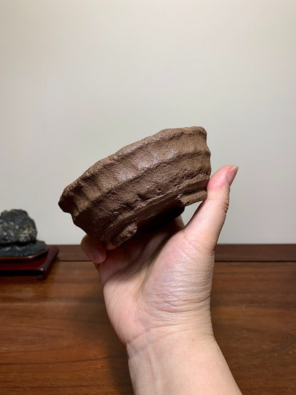 Matsumoto Reikō Hand-Pinched Outer Rim Middle Band Nanban Nanban Pot
