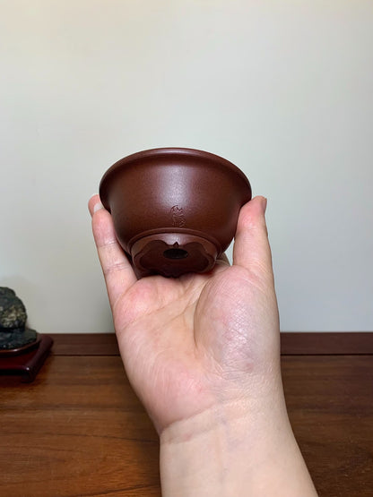 Matsuizan Aki Shidei Outer Rim Small Golden Bell Japanese Flower Pot