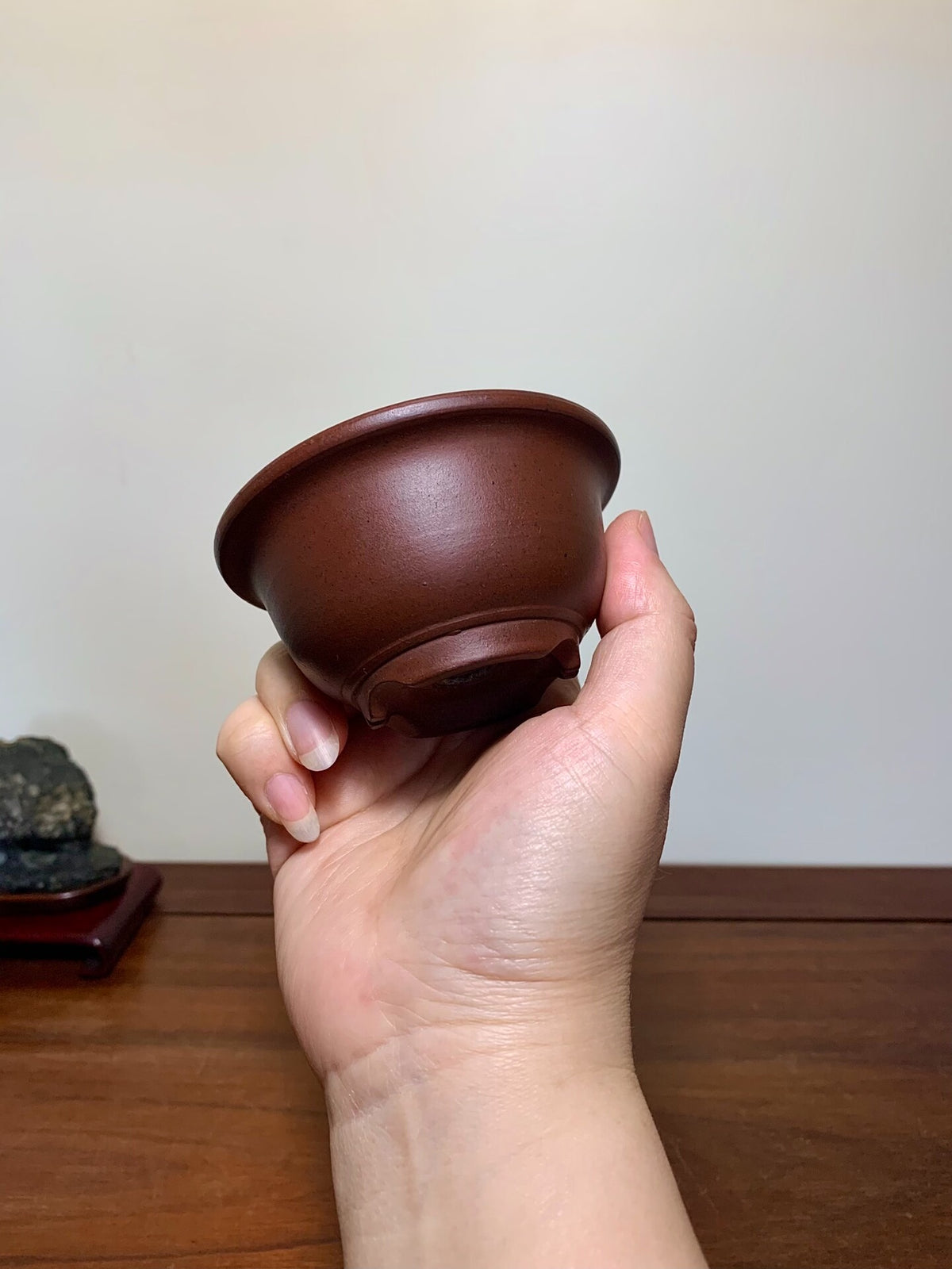 Matsuizan Aki Shidei Outer Rim Small Golden Bell Japanese Flower Pot