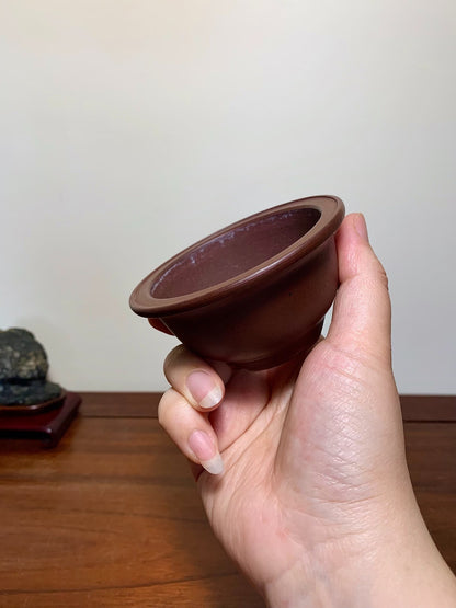 Matsuizan Aki Shidei Outer Rim Small Golden Bell Japanese Flower Pot