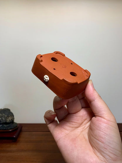 Fujikaku Rectangular Pot