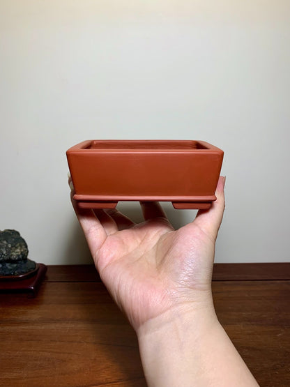 A hand holds a rectangular terracotta bonsai pot with a matte finish and unglazed surface.