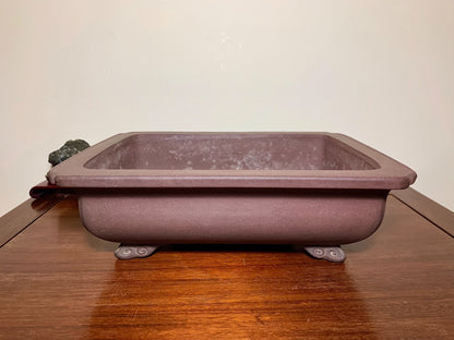 Matsu-Sen-Yaki Shidei Outer Rim Cloud Feet Rectangular Japanese Pot