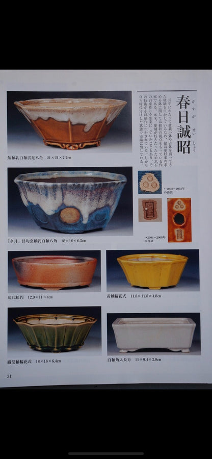 Harukaze Seisho Enameled Landscape Rectangular Pot