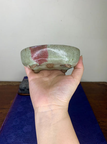 Apprentice of Chōsō, Japanese Bonsai Pot by Suzuki Akinao