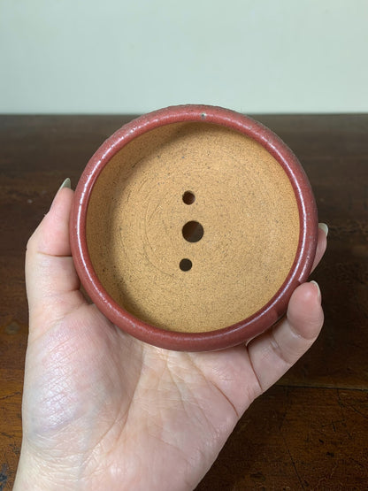 Shinsha Copper-Red Glaze Round Pot by Heian Kōsen