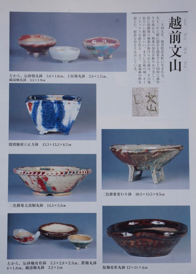 Echizen Bunsan Hand-Pinched Nanban Irregular Pot