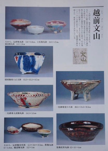 Echizen Bunsan Hand-Pinched Nanban Irregular Pot