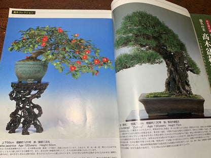 Japanese Wabi Magazine