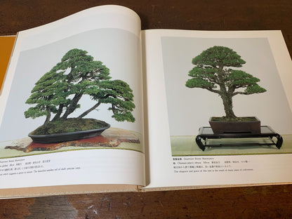 Kokufu Bonsai Exhibition