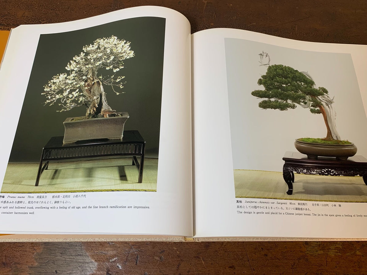 Kokufu Bonsai Exhibition