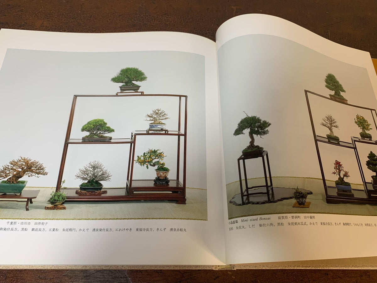 Kokufu Bonsai Exhibition