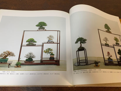 Kokufu Bonsai Exhibition