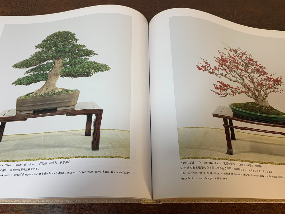 Kokufu Bonsai Exhibition