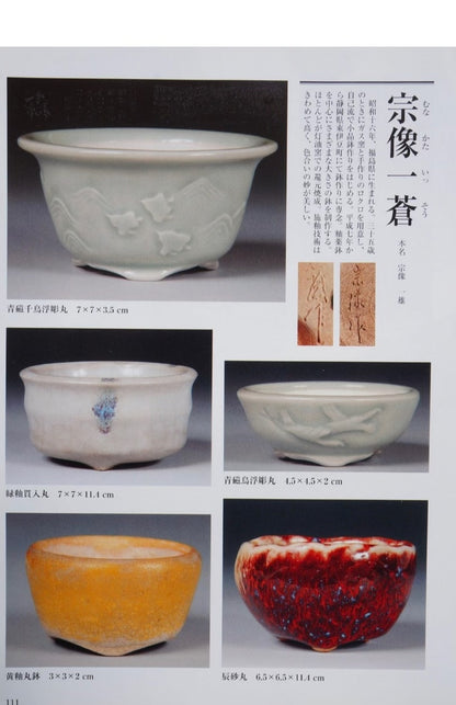 Sōzō Ikkō Early Works Flower Pot