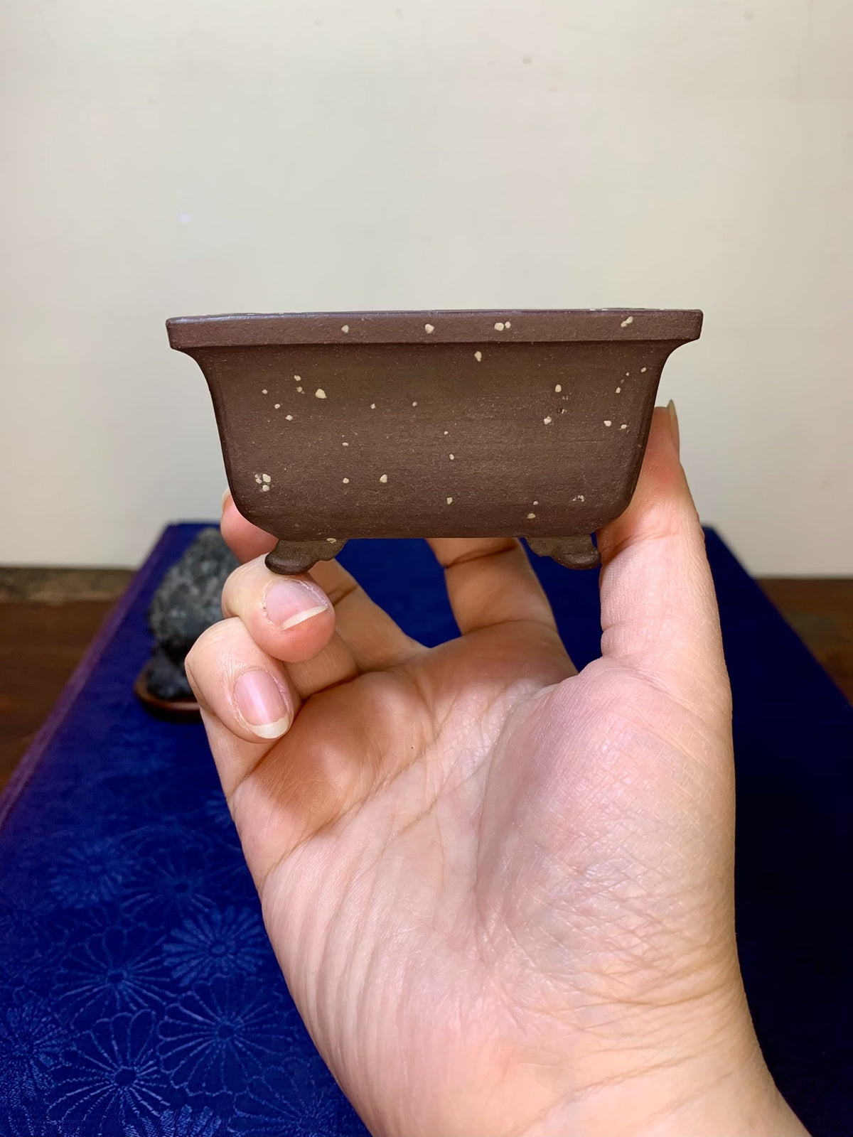 Purple Clay, Outer Rim, Cloud Feet, Small Rectangular Flower Pot by Rin Tōsaku