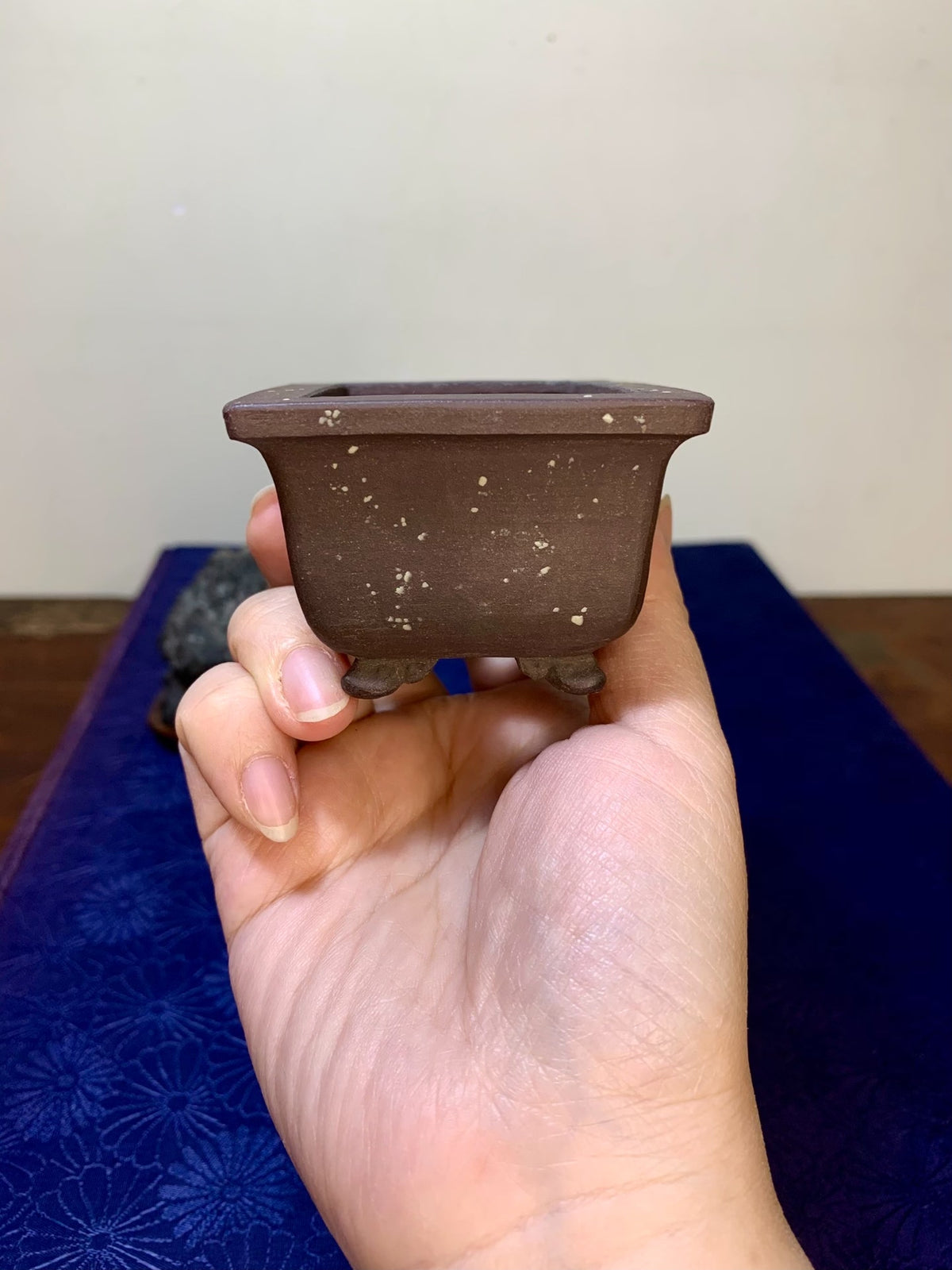 Purple Clay, Outer Rim, Cloud Feet, Small Rectangular Flower Pot by Rin Tōsaku