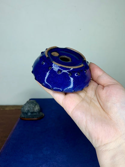 Double-Studded Ruri Blue Glaze Round Pot by Arai Akatsuki