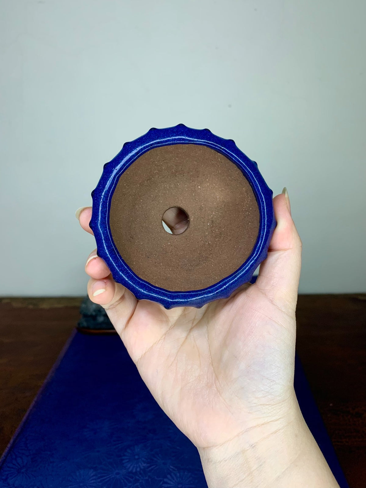 Double-Studded Ruri Blue Glaze Round Pot by Arai Akatsuki