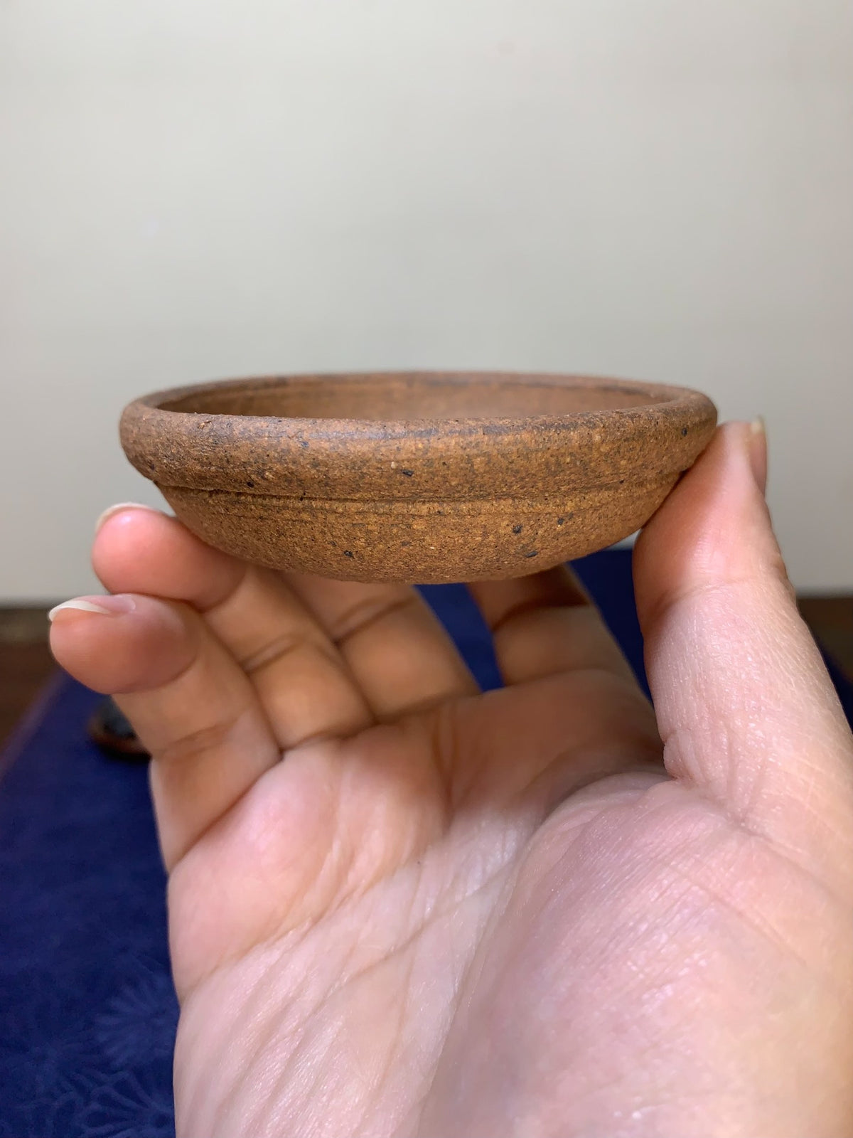 Shinano Takayama Fine Small Nanban Japanese Pot