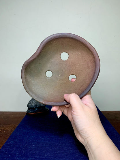 Echizen Bunsan Irregular Nanban Pot